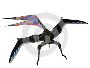 Zhejiangopterus Flying Pterosaur
