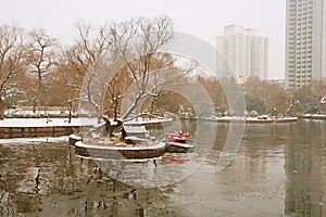 Zhengzhou people& x27;s Park