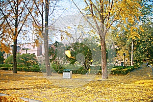 Zhengzhou people's Park