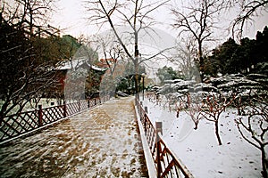 Zhengzhou in winter