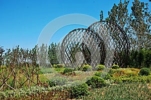 Zhengzhou the Yellow River Wetland Park