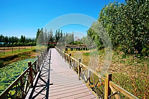 Zhengzhou the Yellow River Wetland Park