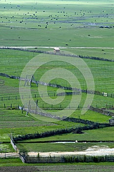 Zhongdian Grassland