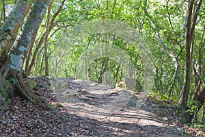 Zhuilu Old Road in Taroko National Park, Xiulin, Hualien, Taiwan