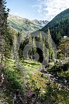 Ziarska dolina valley with peaks on the background in Zapadne Tatry mountains in Slovakia