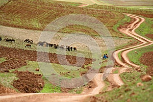 Zig zag road pass trough agriculture area of Inca people, Cusco, Peru