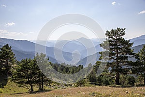 Zigana highland mountain scenery in the Black Sea region of ,Turkey