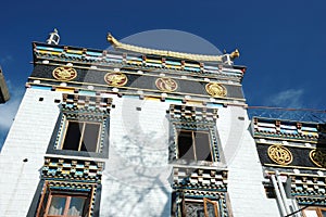 Zigar Drikung Kagyud Institute,Rewalsar,India