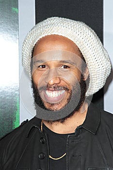 Ziggy Marley