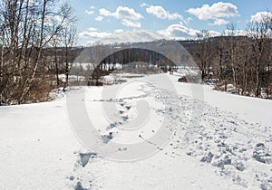 Zigzag footprints in deep snow