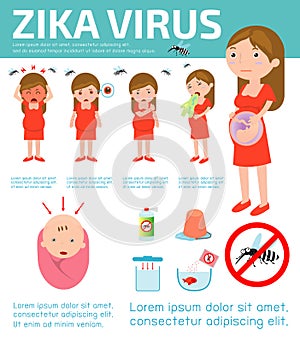 The Zika fever Virus is linked to microcephaly birth defect cases from pregnant women bitten by Aedes aegypti mosquitoes photo