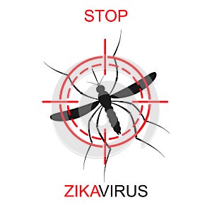 Zika mosquito vector. Virus alert. Aedes Aegypti isolated on white background photo
