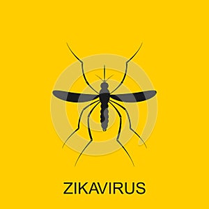 Zika mosquito vector. Virus alert. Aedes Aegypti on white background