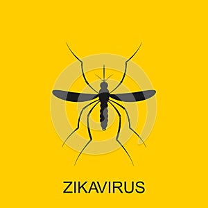 Zika mosquito vector. Virus alert. Aedes Aegypti on white background photo