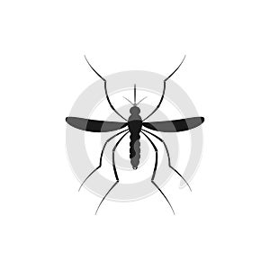 Zika mosquito . Zika virus alert. Zika virus concept. Zika virus mosquito bite. Mosquito logo. Aedes Aegypti isolated on