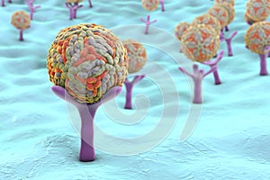 Connessione sul sul Uomo cellula 