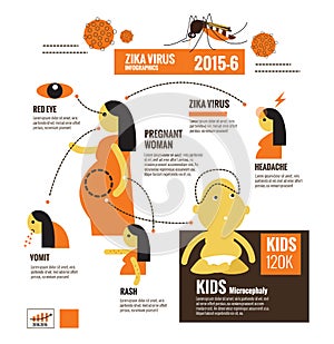 Zika virus and dengue virus infographics.