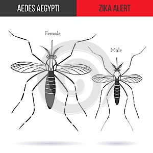 Zika virus graphic design elements.