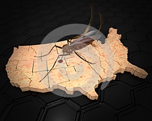 Zika Virus Infects The United States