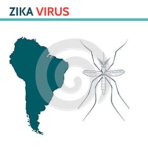 Zika Virus. Mosquito Aedes.