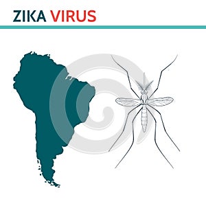Zika Virus. Mosquito Aedes. photo
