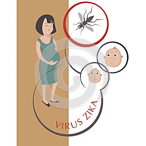 Zika virus outbreak concept. Transmitted by Aedes aegypti mosquito and it is linked to cause microcephaly on infected