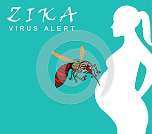 Zika Virus Outbreak and Travel Alert concept. transmitted by mosquito and it is linked to cause microcephaly on infected pregnant photo