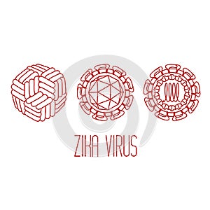 Zika virus structure