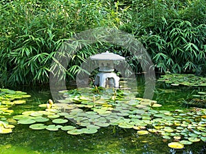 Zilker Japanese Pond photo