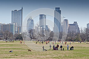 Zilker park in Ausitn