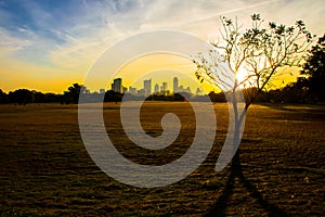 Zilker Park Austin Texas Skyline with sunrise sunbeams across the field