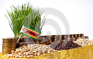 Zimbabwe flag waving with stack of money coins and piles of wheat