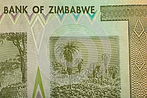 Zimbabwe twenty billion dollars banknote