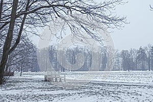 Zimnij park skam`ya derev`ya samobytnyj pasmurnyj kolorit Rossii