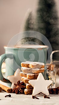 Zimtsterne, homemade german christmas cookies