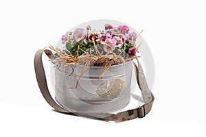 Zinc galvanized basket with pansies and straw