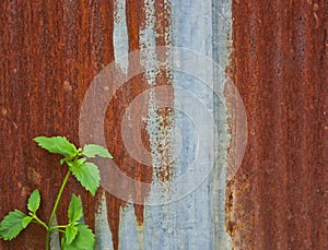 Zinc is made into a fence