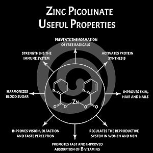 Zinc picolinate useful properties molecular chemical formula. Zinc infographics. Vector illustration. photo