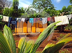 Zinc sheet metal house jungle with laundry drying Quinn Hill Bi