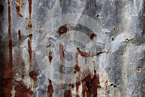 Zinc wall on the old and decaying