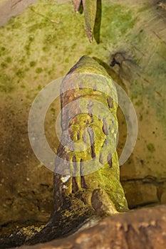 Zindan Cave near Aksu village in Isparta.