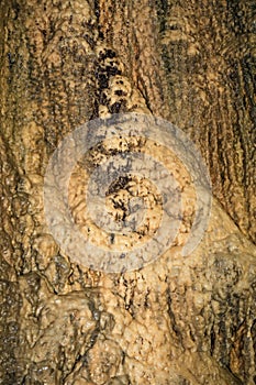 Zindan Cave near Aksu village in Isparta of Turkey.