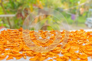 Zingiber,Turmeric root, Cassumunar ginger, Bengal root,Zingiberaceae, turmeric for drying.The local food and Thai herb in Thailan