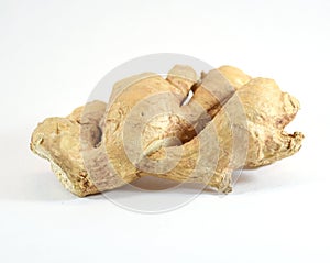 Zingiberaceae (ginger) root photo