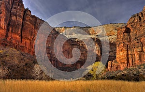 Zion Canyon floor in autumn