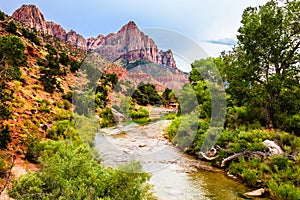 Zion Canyon Landscape with the Watchman