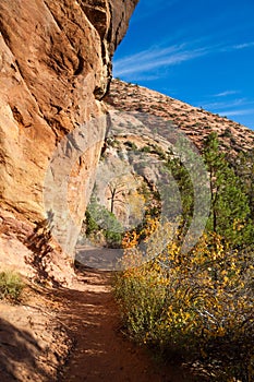 Zion Canyon Overlook Trail