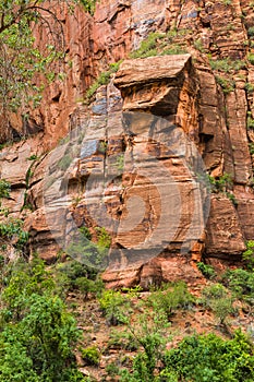 Zion Canyon