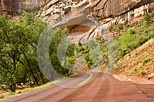 Zion Canyon Roadway