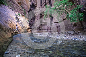 The Zion Glow in the Narrows